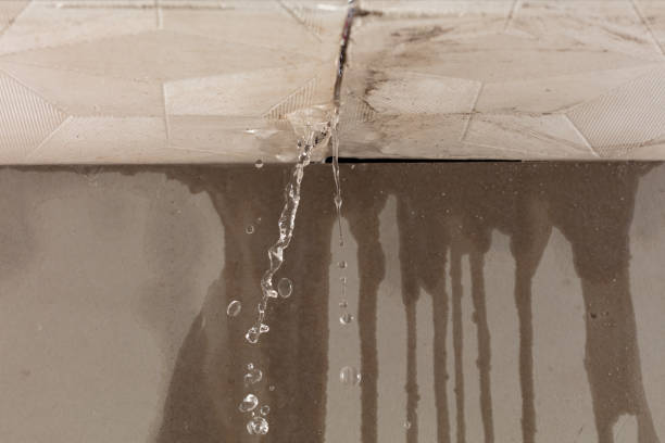 Professional Structural Drying technician working in Imlay City, MI
